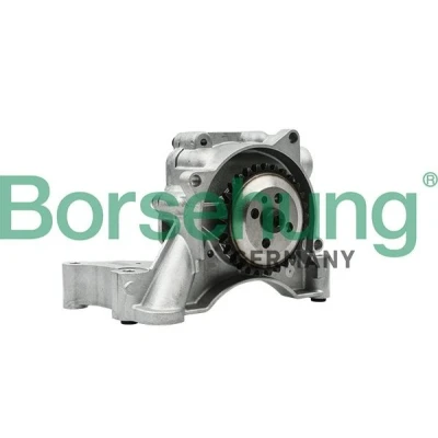 Bilde av Borsehung B18512 Oljepumpe med tannhjul VOLKSWAGEN: GOLF 6, Scirocco III, Tiguan I, AUDI: A1 Hatchback, A3 Sportback
