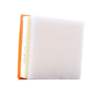 Bilde av PURFLUX A1538 Luftfilter 65 206 228 Filterinnsats BMW: 1 Hatchback, 3 Touring, Sedan