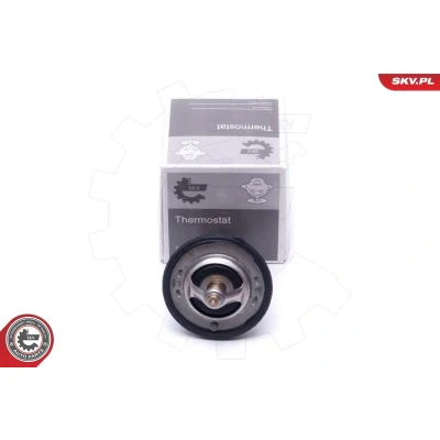 Bilde av Termostat, kjølemiddel, ford,ford usa,mazda,suzuki, 17670 77E10, 77E11, 1A51 15 171, 3 396 924, 599 763, 893 570, 902 514, 4