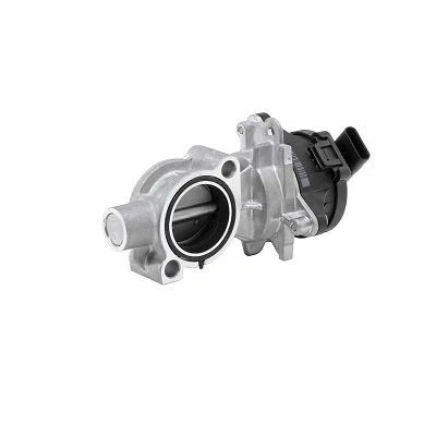 Bilde av WAHLER 72147558D EGR Ventil elektrisk uten tilleggsmateriale