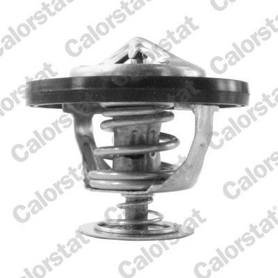 Bilde av CALORSTAT by Vernet TH7217.95J Termostat 95 63 med tetning JEEP: Commander, GRAND CHEROKEE 4