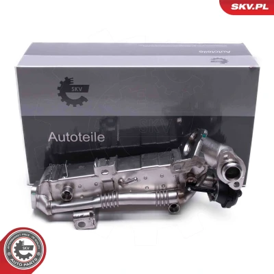 Bilde av ESEN SKV 14SKV239 EGR Ventil BMW: X5, X3, X1