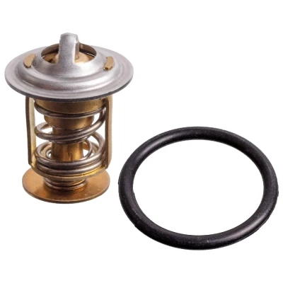 Bilde av FEBI BILSTEIN 176258 Termostat 75 med tetningsring