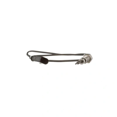 Bilde av DELPHI TS30020 Sensorer VOLKSWAGEN: Passat B6 Variant, GOLF 6, Caddy 3, SKODA: Octavia 2 Combi, Superb II Hatchback, Roomster, AUDI: A3 Sportback