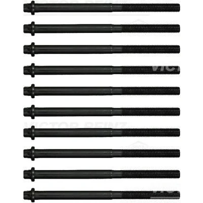 Bilde av REINZ 14 17059 01 Sylindertoppskrue utvendig torx BMW: 5 Touring, 7