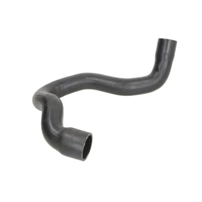 Bilde av Radiatorslange THERMOTEC DWM206TT