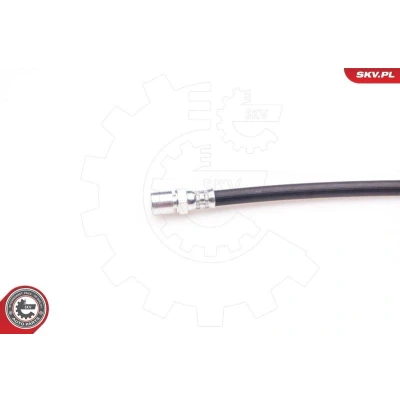 Bilde av ESEN SKV 35SKV079 Bremseslange bakaksel begge sider 220 M10x1 ALFA ROMEO: Spider, FIAT: Coupe