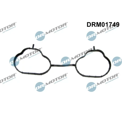 Bilde av DR.MOTOR AUTOMOTIVE DRM01749 Innsugspakning SUBARU: Forester III