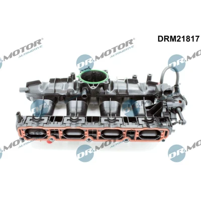 Bilde av DR.MOTOR AUTOMOTIVE DRM21817 Innsugningsmanifold VOLKSWAGEN: Passat B6 Variant, Tiguan I, GOLF 6, AUDI: A3 Sportback, TT Coupé, SKODA: Yeti