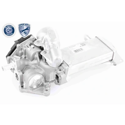 Bilde av VEMO V10 63 0049 EGR Ventil EXPERT KITS + elektrisk med tetning, kjøler undertrykk bypass VOLKSWAGEN: Amarok Pick up