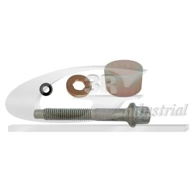 Bilde av skrue, innsprøytningsdyseholder, citroën,ds,fiat,ford,mazda,peugeot,volvo, 1685783, 1700379, 198194, 1982G5, 31321480, 31321711, AV6Q9E5