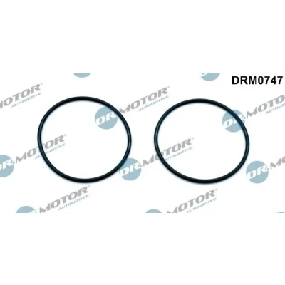 Bilde av DR.MOTOR AUTOMOTIVE DRM0747 Pakninger AUDI: A3 Sportback, A4 B7 Avant, Sedan, VOLKSWAGEN: Polo V Hatchback