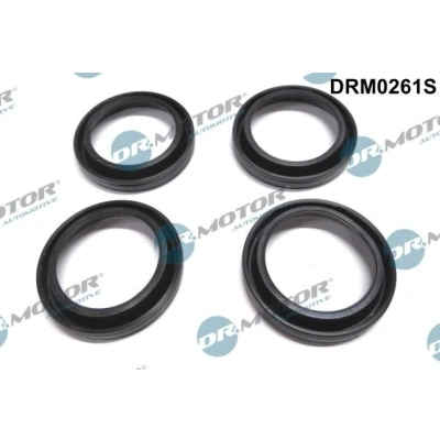 Bilde av DR.MOTOR AUTOMOTIVE DRM0261S Tetningssett, sylindertopp hette