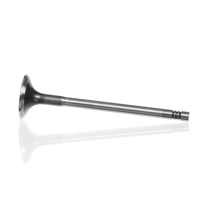 Bilde av Utløpsventil, Eksosside, audi,seat,skoda,vw, 06D 109 611 H, K, L, 06D109611H, 06D109611K, 06D109611L