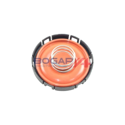 Bilde av BOGAP B1116108 ventil, veivhuslufting med tetningsringer BMW: 3 Touring, Sedan, 5 Touring