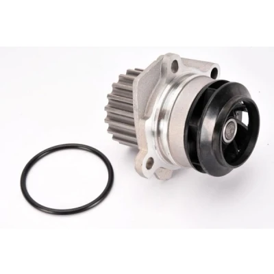 Bilde av THERMOTEC D1W049TT Vannpumpe 19 med tetning mekanisk VOLKSWAGEN: Caddy 3, Passat B6 Variant, GOLF 6, SKODA: Fabia 2, Octavia 2 Combi, Yeti, AUDI: Q5