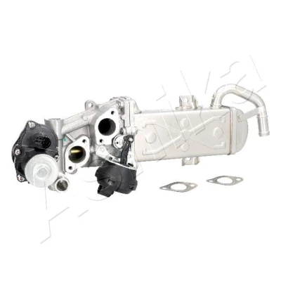 Bilde av ASHIKA 150 00 0907 Eksosreturmodul VOLKSWAGEN: Tiguan I, Caddy 3, AUDI: A3 Sportback, Hatchback, SKODA: Superb II Stasjonsvogn