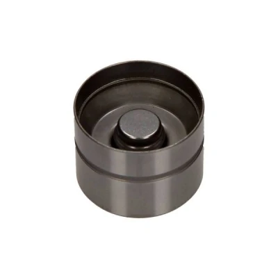Bilde av MAXGEAR 17 0023 Ventilløfter hydraulisk Eksosside VOLKSWAGEN: Caddy 3, Multivan 5 (7HM, Transporter 5, AUDI: A6 C4 Avant