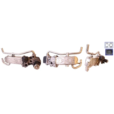 Bilde av DRI 717730109 Eksosreturmodul med tetning, EGR kjøler VOLKSWAGEN: Polo V Hatchback, SKODA: Fabia 2