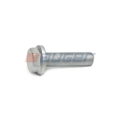 Bilde av Bolt, bremsecaliper AUGER 105123