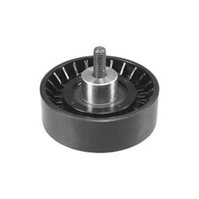 Bilde av MAGNETI MARELLI 331316170010 Styrerulle kilerem