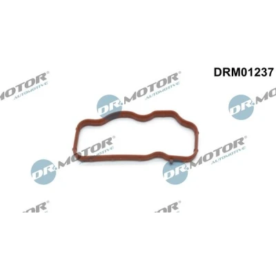Bilde av DR.MOTOR AUTOMOTIVE DRM01237 Innsugspakning for sylinder 1 3, inngang AUDI: A4 B7 Avant, A6 C6 Sedan, Q7, VOLKSWAGEN: Touareg I