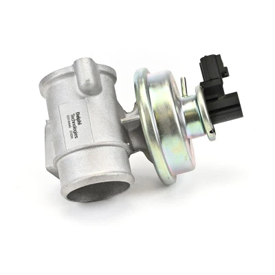 Bilde av DELPHI EG10449 12B1 EGR Ventil