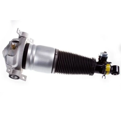 Bilde av Luftfjærbein, Venstre bakaksel, audi q7, porsche cayenne, vw touareg, 7L6 616 019 A, D, E, 7L8 513 029 F, 51