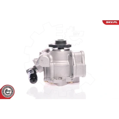 Bilde av Hydraulikkpumpe, styring, mercedes benz g klass [w461, w463], m [w163], 0024669001, 002466900101, 0024669101, 0034665601