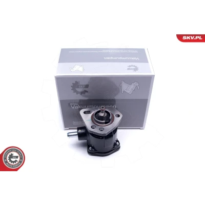 Bilde av ESEN SKV 18SKV058 Vakuumpumpe FIAT: Ducato II Flatvogn lastebil/Chassis