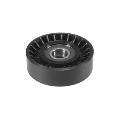 Bilde av MAGNETI MARELLI 331316170012 Styrerulle kilerem