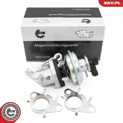 Bilde av Egr ventil, bmw,mini,toyota, 11 71 7 801 942, 823 316 SK, 316, 9 886 717 717, 25620 WA010, 256