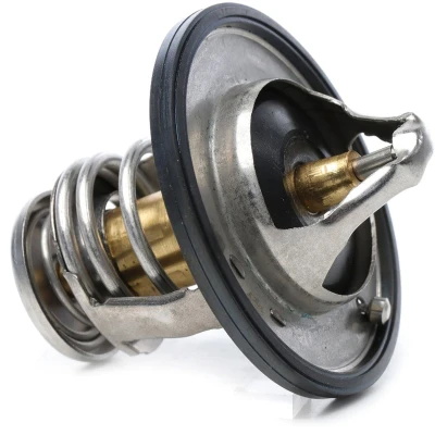Bilde av METZGER 4006399 Termostat 82 med tetning NISSAN: Patrol GR 5 SUV, Pathfinder 3, X Trail