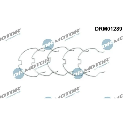 Bilde av DR.MOTOR AUTOMOTIVE DRM01289 Ladeluftslange OPEL: Movano B Van