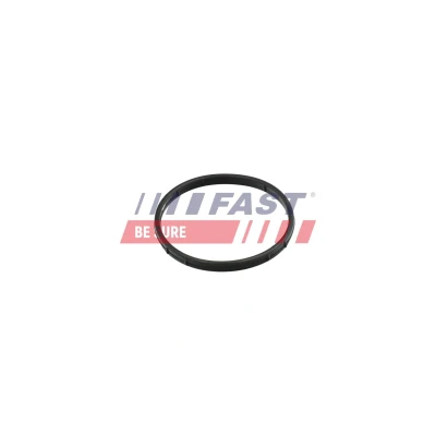 Bilde av FAST FT50602 Pakninger