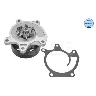 Bilde av Vannpumpe, nissan,renault, 21010 1KC0A, 1KC0B, 1KC0C, 210102706R, 210105877r, 21010BV80A, B1010 1KC0B