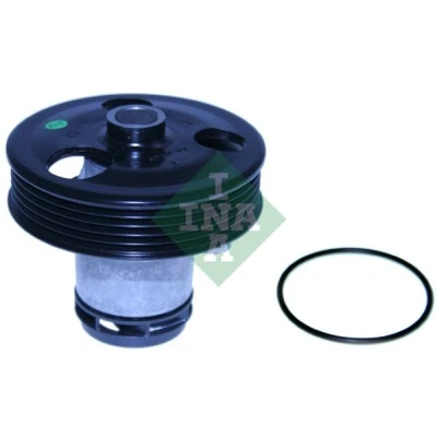 Bilde av INA 538 0411 10 Vannpumpe for vifteremdrift VOLKSWAGEN: Beetle Hatchback, GOLF 6