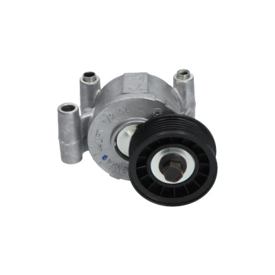 Bilde av KAVO PARTS DTP 4530 Strammerull