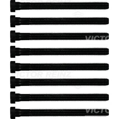 Bilde av REINZ 14 32299 02 Sylindertoppskrue innvendig polygonhode VOLKSWAGEN: Polo V Hatchback