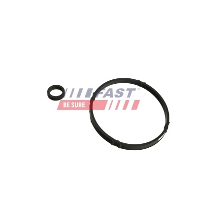 Bilde av FAST FT48933 Tetningsring, laseluftslange