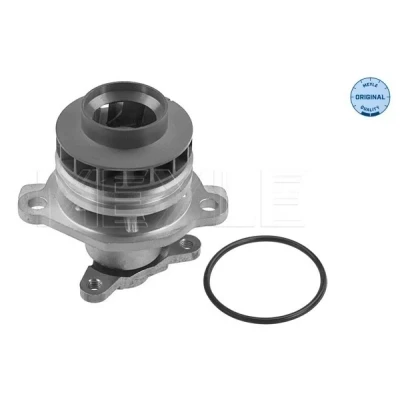 Bilde av MEYLE 16 13 220 0020 Vannpumpe med tetning ORIGINAL Quality NISSAN: X Trail, Primastar Minibuss, Qashqai / Qashqai+2 I, RENAULT: MEGANE 3, SCENIC 3