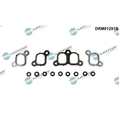 Bilde av DR.MOTOR AUTOMOTIVE DRM01291S Tetningssett, innsugningsmanifold VOLKSWAGEN: Transporter 5, Touareg I, 5 Bus