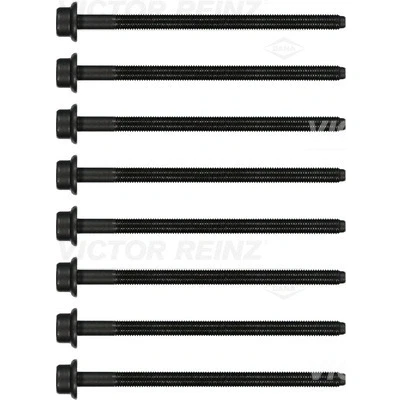 Bilde av REINZ 14 32385 02 Sylindertoppskrue innvendig polygonhode VOLKSWAGEN: Polo V Hatchback, Golf 7 Variant, SKODA: Octavia 3 Schrägheck