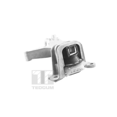 Bilde av Motorfeste TEDGUM TED61737
