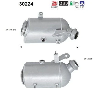 Bilde av AS 30224 Katalysator Euro 6