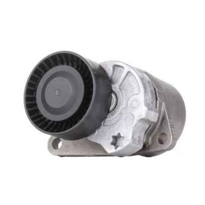 Bilde av INA 534 0103 10 Spennarm, kilerem med ribber VOLVO: V70 I, S60 XC90 I