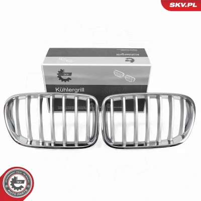 Bilde av ESEN SKV 66SKV251 Radiatorgitter krom BMW: X3