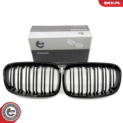Bilde av ESEN SKV 66SKV016 Radiatorgitter glanset, svart BMW: 1 Hatchback