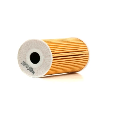 Bilde av Borsehung B12816 Oljefilter Filterinnsats AUDI: A4 B7 Avant, A6 C5 B6 VOLKSWAGEN: Golf 4, Passat B5 GP Stasjonsvogn