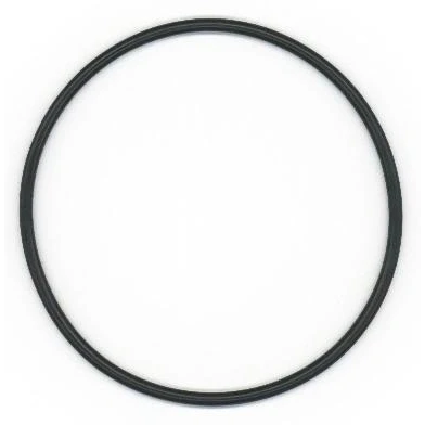 Bilde av O ring ELRING 493.270